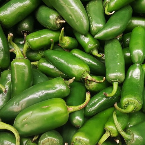 Jalapeno Quiz: Trivia Questions and Answers