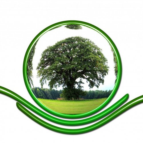 Eco Lifestyle Quiz: questions and answers
