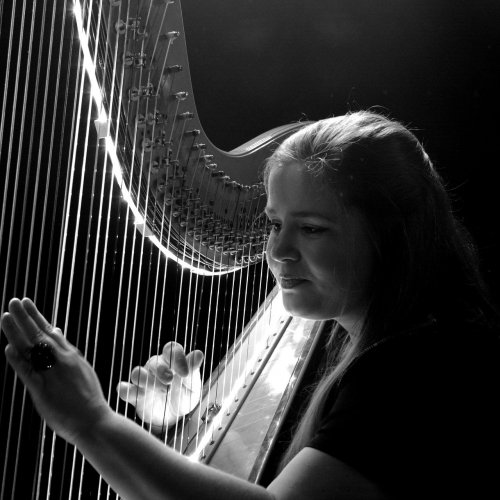 Harp Quiz: questions and answers