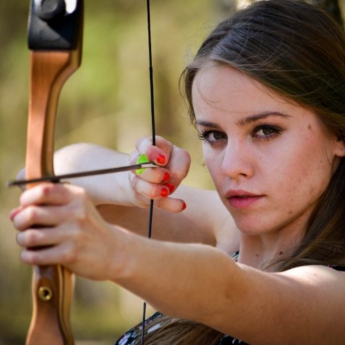 Bow and arrow Quiz: questions and answers