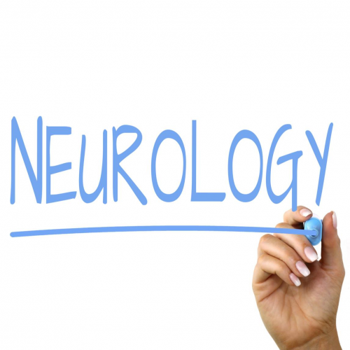 Neurology Quiz: questions and answers
