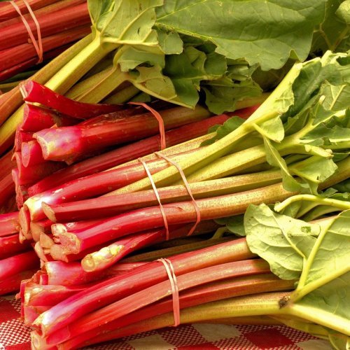 Rhubarb Quiz: questions and answers