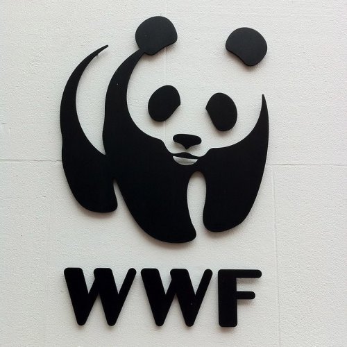WWF Quiz: Trivia Questions and Answers