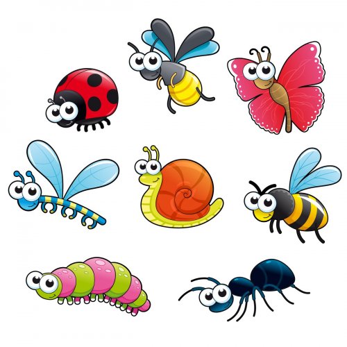 Harmful and Useful Insects Quiz for Kids: 10 Trivia Questions with Answers