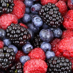 Berry Quiz for Kids: Trivia Questions and Answers