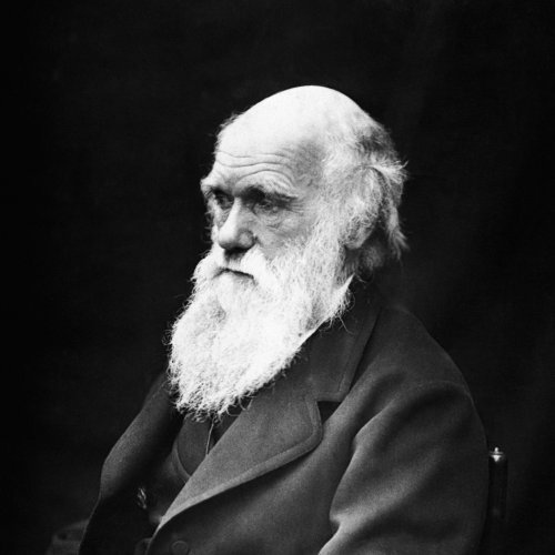 Charles Darwin Quiz