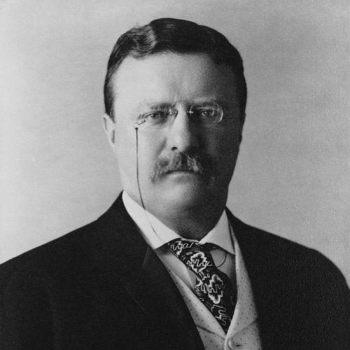 Theodore Roosevelt Quiz: questions and answers