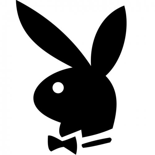 Playboy Quiz: questions and answers