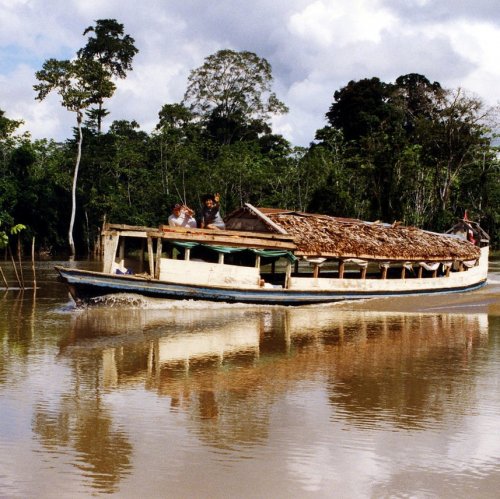 Amazon River Quiz