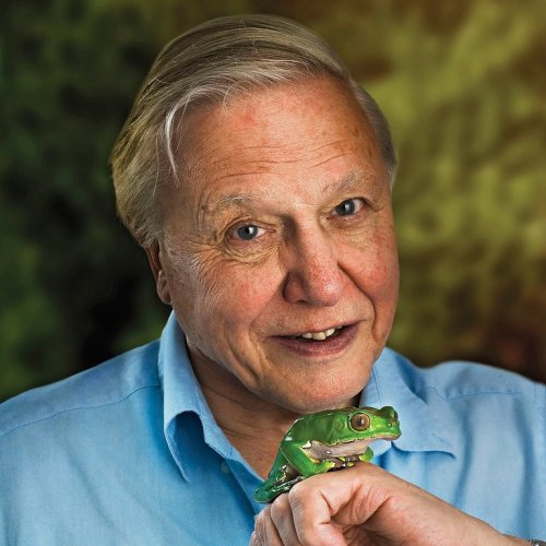 David Attenborough Quiz: questions and answers