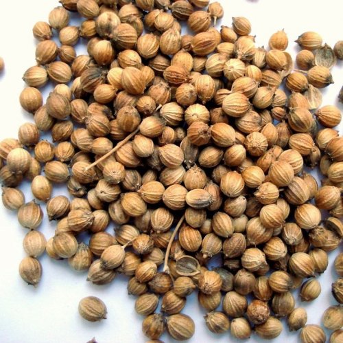 Coriander Quiz: questions and answers