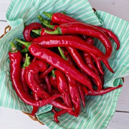 Which variety of pepper is considered the most stinging (according to the Guinness Book of World Records 2013)?