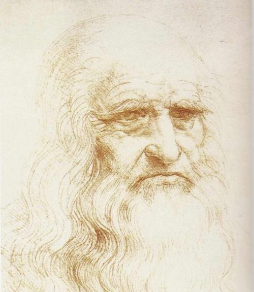 This is an alleged self-portrait by the famous Italian artist. There is no doubt that it is the work of this artist, but some art historians do not believe that it depicts him.
